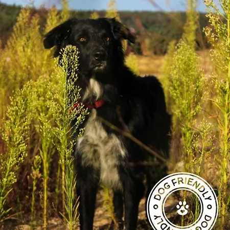 Hotel Cit'hotel Le Chris'tel Et Restaurant